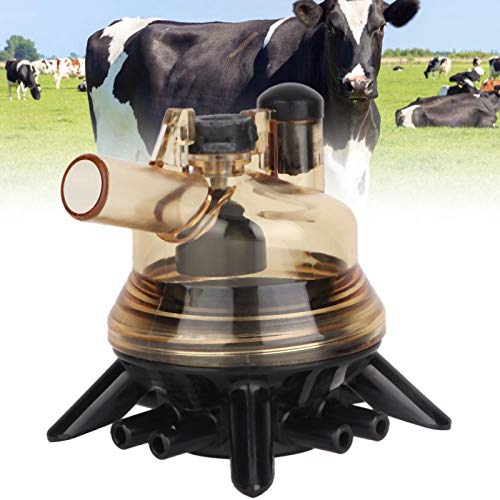 GLOGLOW Coletor de leite de vaca de 150 ml, conjunto de ordenha de vaca, copo de leite, bovina, ovel