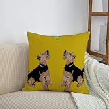 cani di pura razza cuccioli in adozione ✿ Materiale premium: Fibra naturale pura, assorbente di sudore e con ottima permeabilità all'aria, colore stabile. Può essere la prima scelta per un modo di vita naturale e sano.