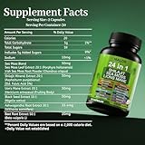 24 in 1 Soursop Graviola Capsules - Herbal Supplement with Shilajit, Sea Moss, Turmeric, Ashwagandha - Vegan, Non-GMO, 60 Capsules (1)