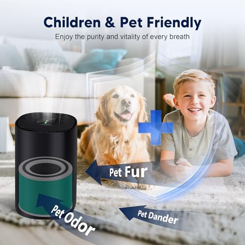 Image of 240 Toxin Absorber Replacement Filter Compatible with Puro 240 Air Purifier | 2 Pack 3-in-1 High-Efficiency Filter with Activated Carbon for Pet Dander, Odors and Smoke, for Home Bedroom Large Room