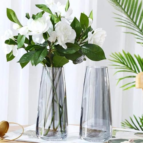 Image of TIED RIBBONS Set of 2 Glass Flower Vase Pot for Plants (Black, 22.8 cm X 6.3 cm X 7.6 cm) - Decorative Home Decor Living Room Water Plants Dining Table Decoration Bedroom Hall House Warming Gift