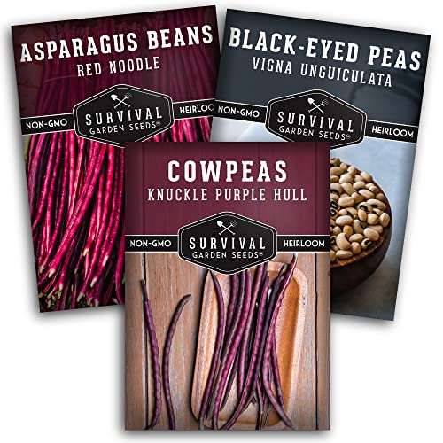 Cowpea Collection - 3 Packets Of Non-Gmo Heirloom Open-Pollinated Peas To Plant In A Vegetable Garden - Purple Hull, Blackeyed, Asparagus Red Noodle - Seed Saver Instructions - Survival Garden Seeds #TOP10