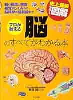 脳の構造と機能 下巻/医学書院/大村裕（神経生理学）（ペーパーバック） 脳の構造と機能 下巻/医学書院/大村裕（神経生理学）（ペーパー