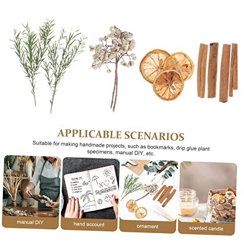 Flores Secas Naturales para Manualidades y Decoración DIY miniatura 4