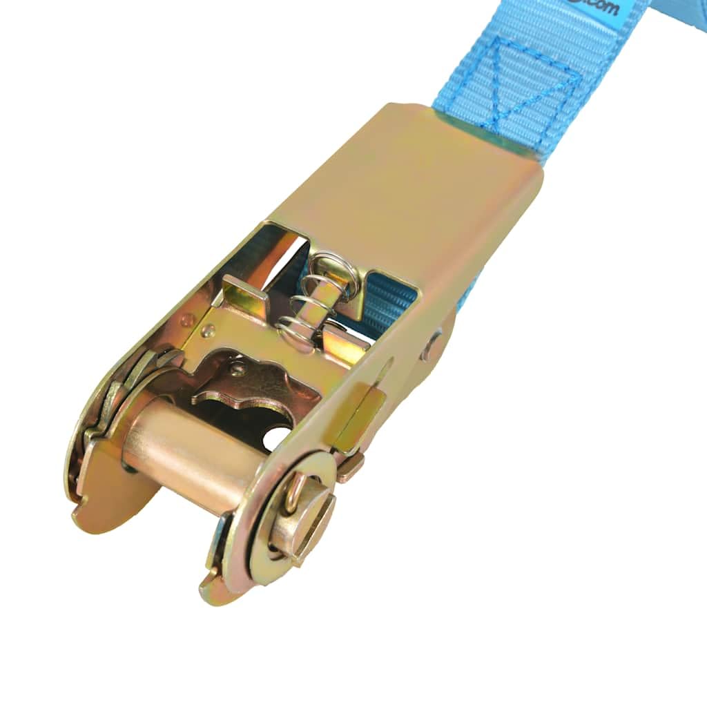 Ratschen-Spanngurte aus Polyester Blau 6m×25mm 4 Stück 0,8 Tonnen Zurrkraft Zurrgurte mit Ratsche für Ladungssicherung Transport Verzurren Camping Umzug Auto Motorrad