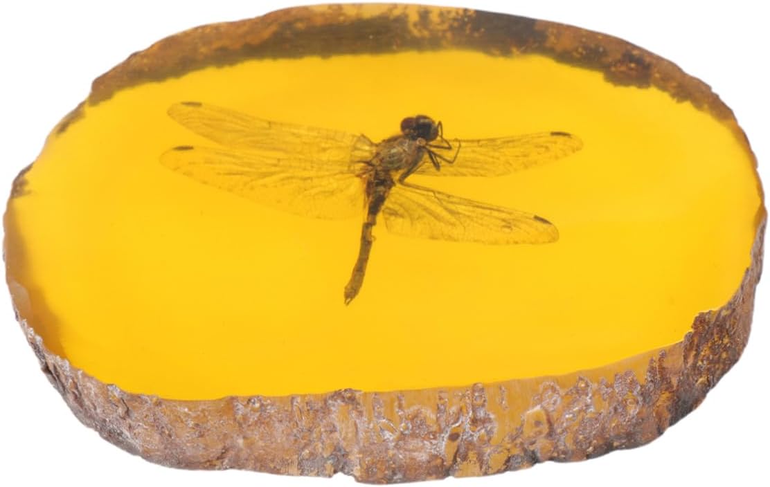 CHILDWEET 1pc Unique Specimen Pendant Insect Dragonfly Amber Ornament for Your Collection