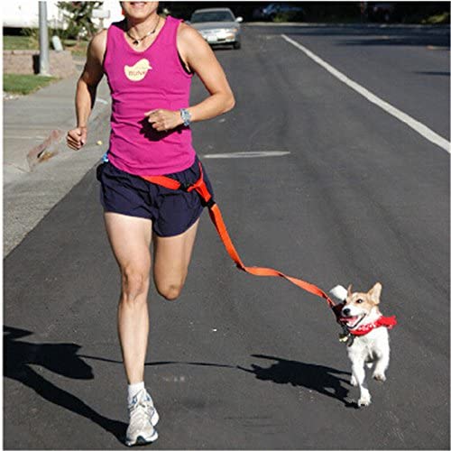 KTM Healthcare® Green, Wide 25MM : Pet Products Waist Morning Running Training Collars Leads Candy Colors Adjustable Walking Leash MPG109