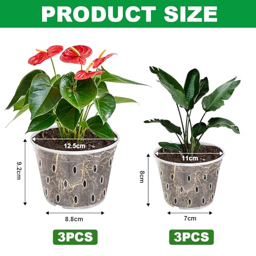 VGECEE 6 Pezzi Vaso per Orchidee Trasparente Vasi per Piante con Fori e Sottovasi per Orchidee Piccoli Vaso Orchidee Plastica Vaso Fiori Plastica per Interni Esterni Giardino ed Balcone(11cm, 12,5cm) - 2