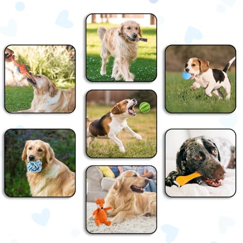 AMFUN 11 Stück Hundespielzeug Set, Hundespielzeug Kleine Hunde, Plüsch Hundespielzeug Mit Quietscher, Quietschend Kauspielzeug für Kleine Mittlere Hunde, Plüschspielzeug für Welpen