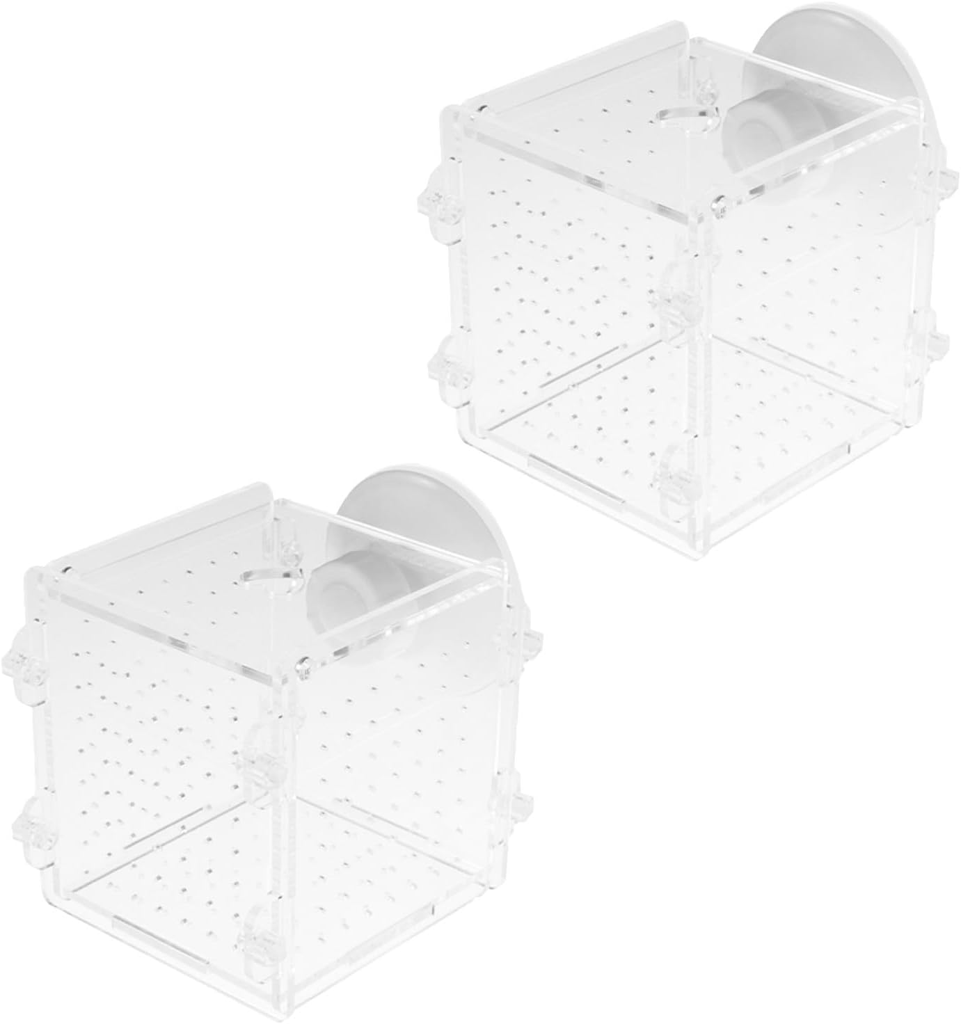 MAGICLULU Fish Breeding Isolation Box Lightweight Acrylic 2pcs with Suction Cup High Transparency Fish Separator for Aquarium, Suitable for Clownfish and Shrimp in Home Aquariums