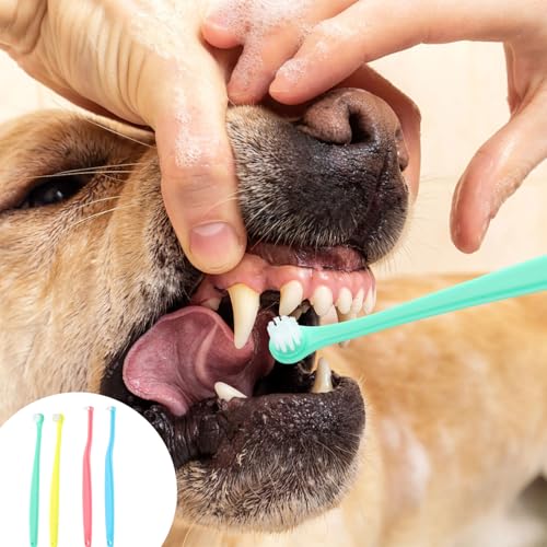 Image of 4pcs Dog & Cat Toothbrush, Round & Pointed Soft Bristle Pets Toothbrush Micro Head Kitten Teeth Cleaning Brush Dental Care for Puppy Kitty Reduce Plaque Tartar Formation & Bad Breath (Color 2)