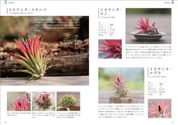 ティランジア・ハンドブック CATEGORY チランジア書籍 | 常葉植物園