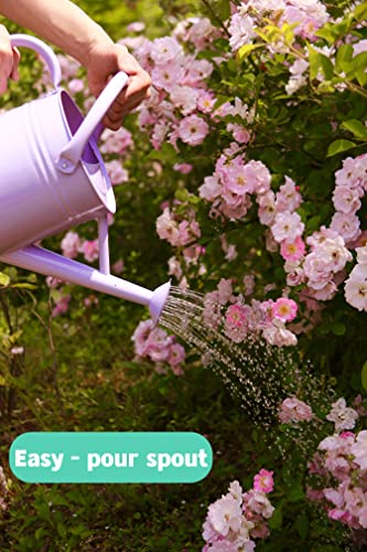 Wequality Watering Can For Outdoor Plants，1 Gallon Metal Plant Watering Can With Handles,Galvanized Steel Watering Pot Gardening Tools，Beautiful Gardening Gifts For Women,Violet Color #TOP2