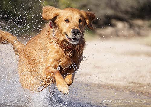 Sony-E-Mount-55-210mm-F45-63-Telephoto-Lens-Black