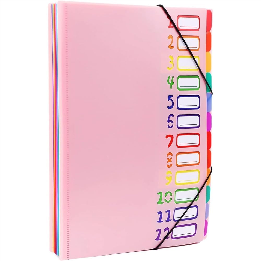 Organizzatore Formato A4 Lettera, Organizer for cartelle espandibili in plastica mensile Resistente con 12 Tasche espandibili per Ufficio(Pink)