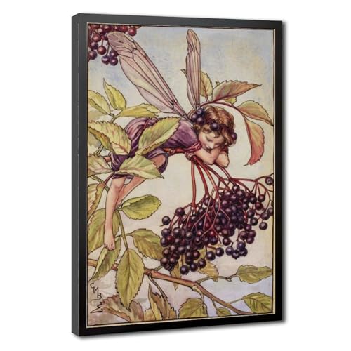 Toile fée du sureau Cicely Mary Barker, idée cadeau idéale pour anniversaire et pendaison de crémaillère