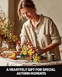 Zoom IMG-2 nifeliz set per la costruzione Zoom IMG-2 nifeliz set per la costruzione