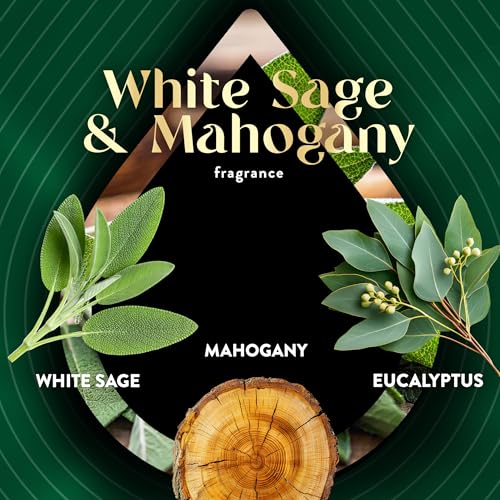 Image of Air Wick Plug in Scented Oil Refill, 5ct, White Sage & Mahogany, Air Freshener, Essential Oils