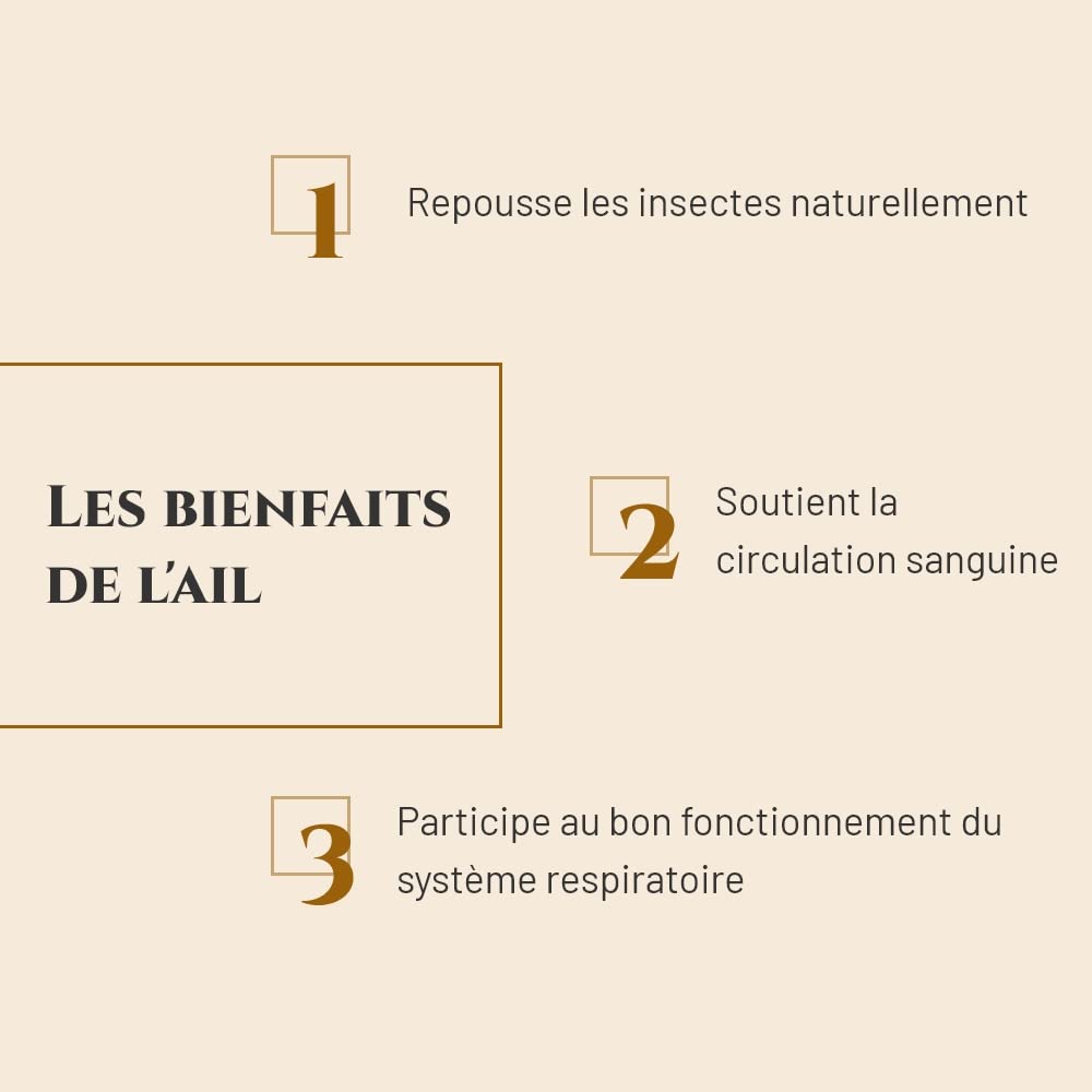 AIL - Complément nutritionnel Cheval - Seau 1 kg - Répulsif Contre Les Insectes - Circulation Sanguine - Soutien de la Respiration - Marque Française