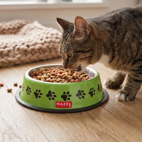 Image of HAZEL Green Stainless Steel Pet Food Bowl with Paw Print Design | Paw Print