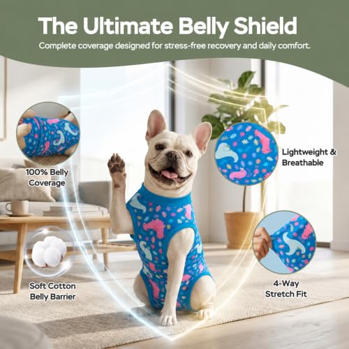 Image of PetWarm Dog Recovery Suit After Surgery, Dog Bodysuit, Substitute E-Collar and Cone, Pet Surgery Recovery Suit, Female Male Dog Onesie for Spay Neuter, Dinosaur Pattern, Multi-Colored, 2XL