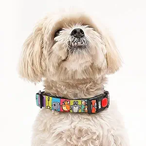 Tom and Jerry X Mutt of Course Woofy Poses Cat Collar Belts - 7 to 9