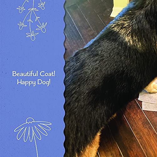 Bella Petzzo Organic Dog Deodorizing Spray - Gently Deodorizes Fur While Conditioning Coat With All Calming Natural Essential Oils, Nourishing Spritz Dog Freshener #TOP4