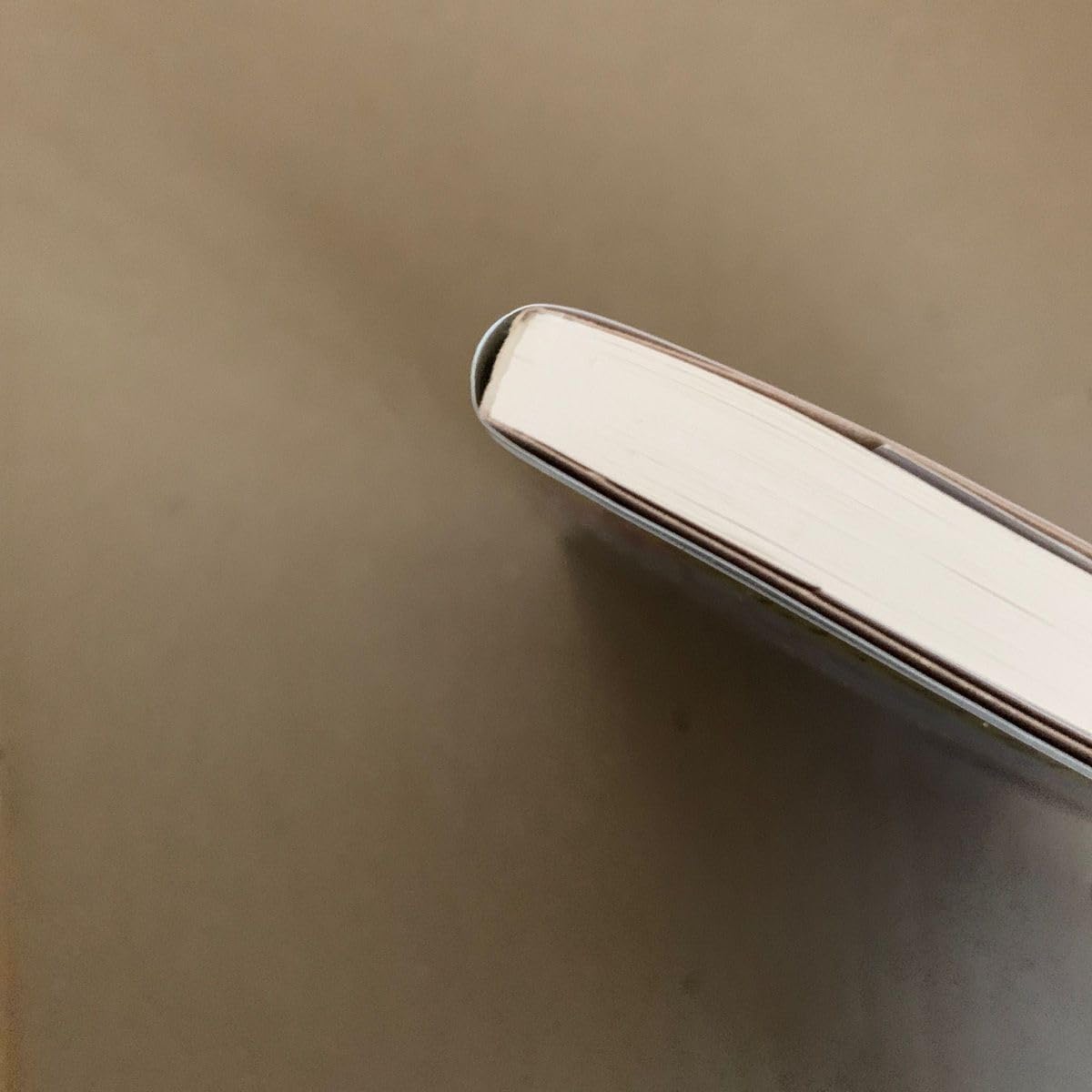 Amazon.co.jp: SUNNY 強い気持ち 強い愛 （幻冬舎文庫 く－22