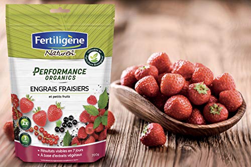 Engrais Granulés Fraisiers solution pour booster la croissance et doubler les récoltes - 4