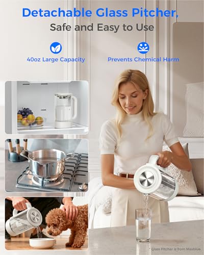 Image of Waterdrop M6SL Mineral Reverse Osmosis System Countertop Water Filter with Additional Glass Water Pitcher