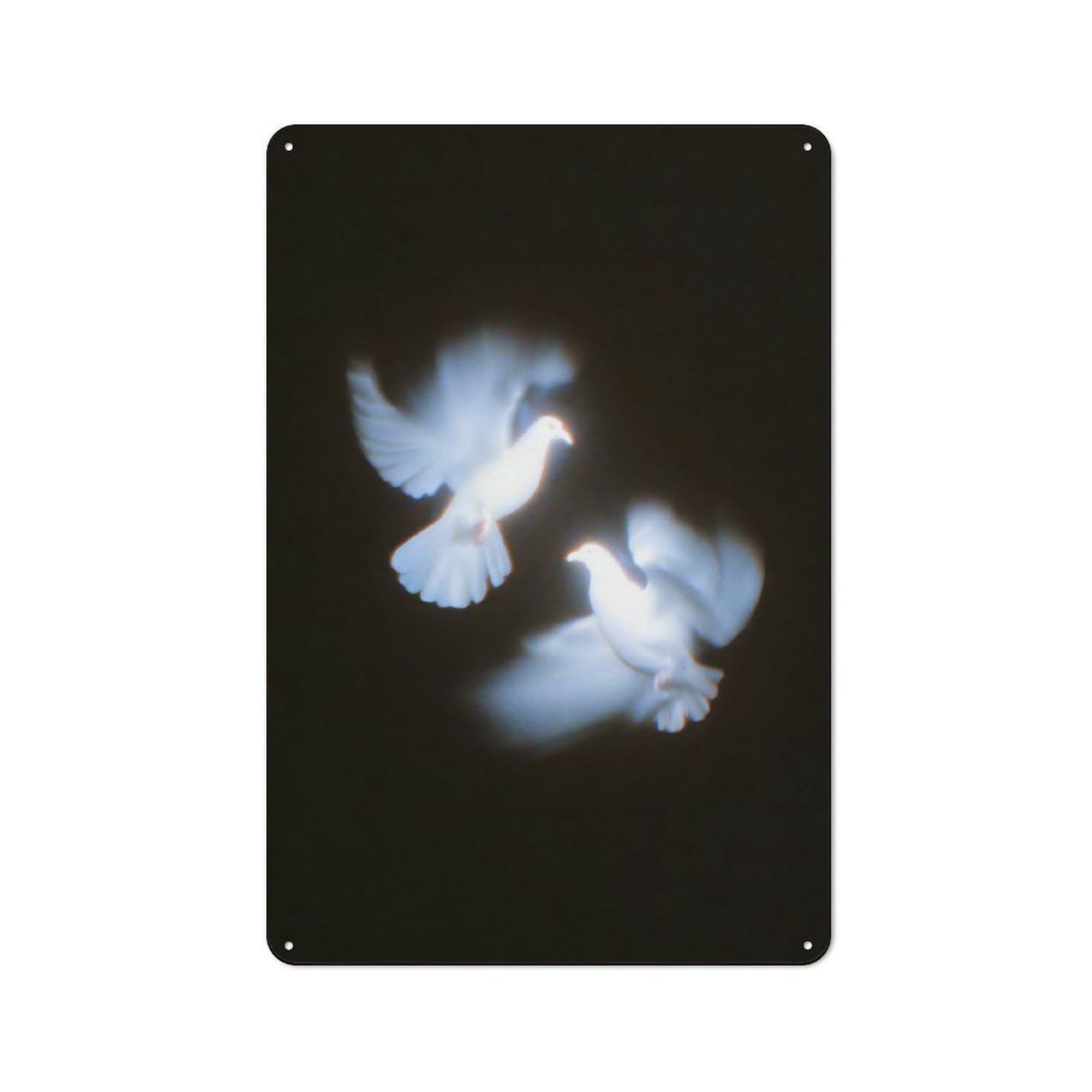 Two White Doves in Flight Metal Wall Art Sign 30x20cm, Vintage Vintage Wall Decor for Lounge, Study, Pub Or Wall Gallery