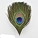 Piume di fagiano di pavone naturale Piume di piume per ricamo Accessori per artigianato Decorazione Decorazione di gioielli-dimensioni 10-15 cm, 500 pezzi