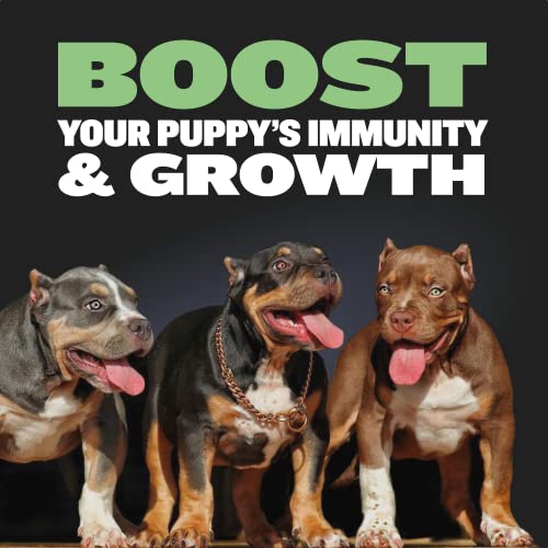 Bully Max Puppy Bundle Pack, High Protein & Growth Puppy Food, Immunity Soft Chews For Growth, Dog Supplements Plus Food #TOP3