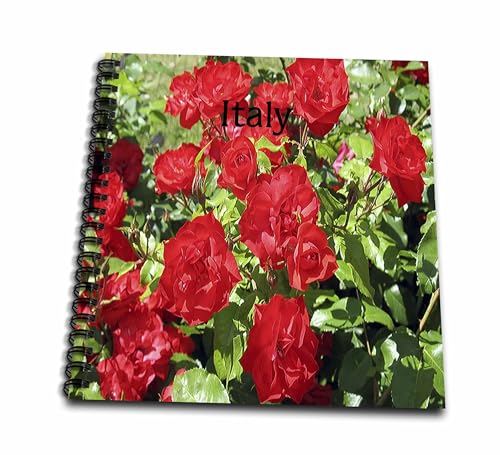 Livre de dessin fleurs italiennes pour croquis de jardin