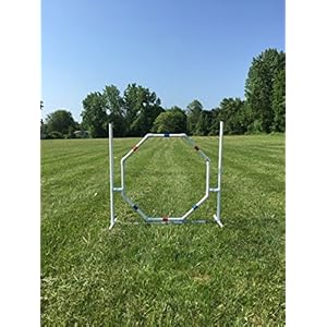 Dog agility equipment practice tirehoop jump   cucciolini doodles