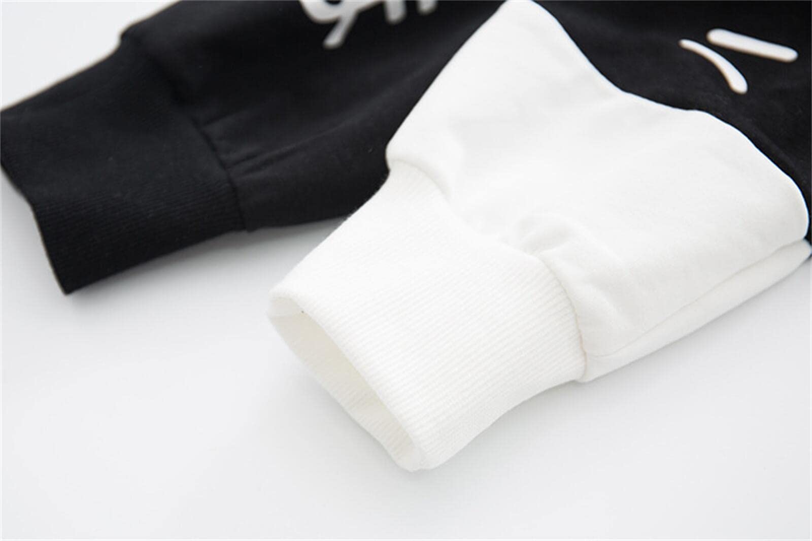 Sweat à capuche avec oreilles de chat Kawaii Anime Esthétique Mignon Preppy Japonais Lettre Sweat-shirt Light Academia Pull Cartoon Top