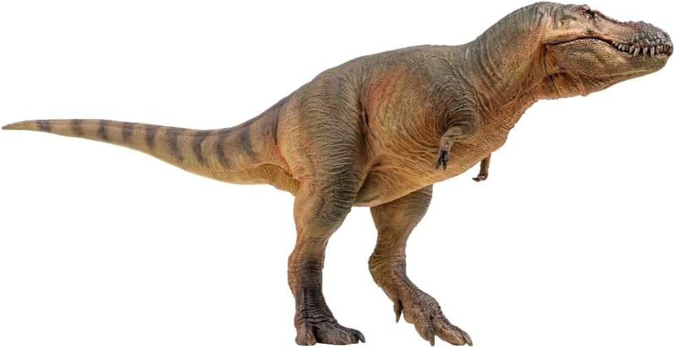Prehistoric Dinosaur Models: (58 Luxiong The Zhuchengtyrannus)