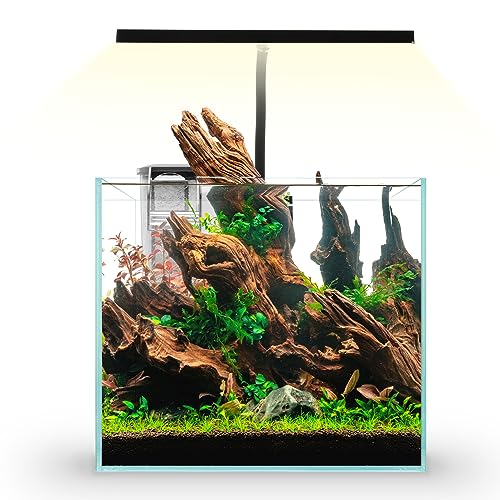 10 Must-Have Saltwater Fish Tank Setup Kits: Your Ultimate Guide to ...