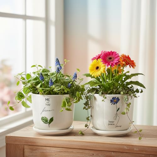 Image of Xtore Charming Printed Ceramic Planter Set of 2 with Drainage Trays | Artistic Indoor Plant Pots for Desk, Shelf & Gift Styling (Pack of 2 - Planter only)