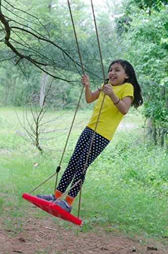 Best Surfer Swing