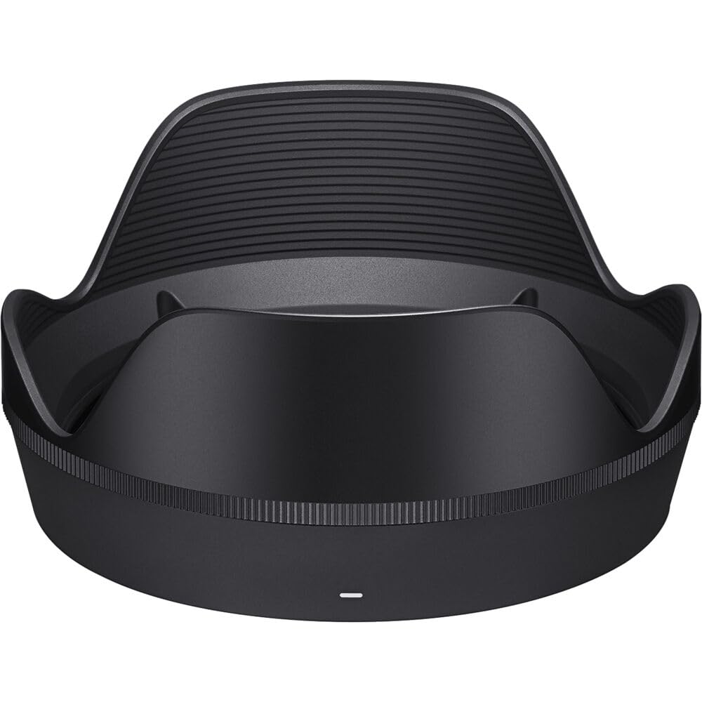 Amazon.com : Sigma 24-70mm f/2.8 DG DN II Art Lens for Sony E