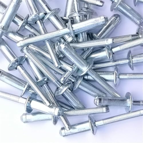 Rivets de fixation structurelle pour supprimer le jeu des assemblages vibrants