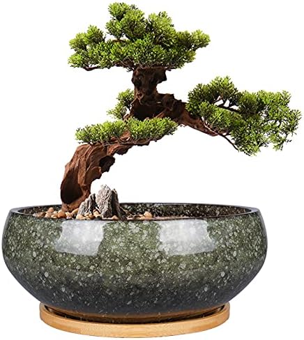 EPFamily 8 Inch Ceramic Bonsai Planter Pot, Glazed Shallow Succulent Planter with Drainage Hole and Bamboo Saucer for Indoor Plants, Green