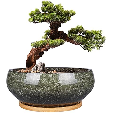 EPFamily 8 Inch Ceramic Bonsai Planter Pot, Glazed Shallow Succulent Planter with Drainage Hole and Bamboo Saucer for Indoor Plants, Green Cover