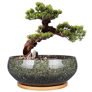 EPFamily Bonsai-Übertopf Keramik Grün 20,3cm