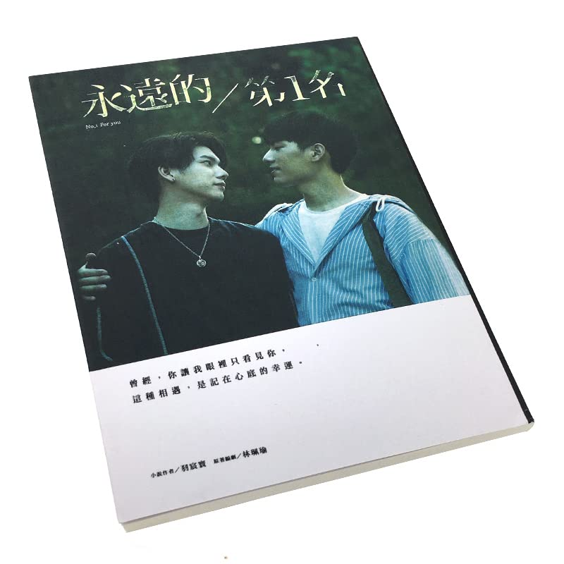 Forever First Place Second Place Counterattack Novels Photos Chinese Novel outh Literature Boys Romance Love BL Fiction Books (Forever 1st Novels)