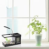 Lmrysalque-Aquarium (Schwarz)