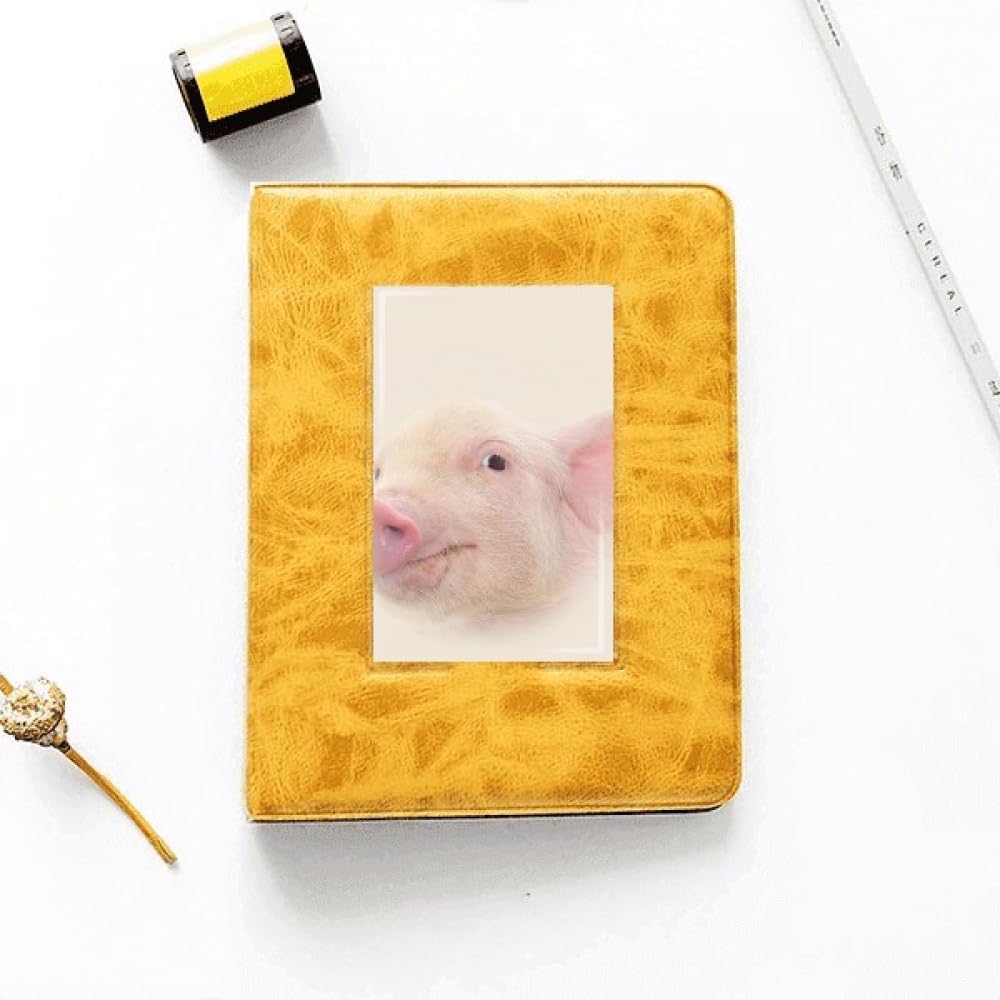 no/no Pork Nose Eyes Art Deco Fashion Photo Album Family Wedding Picture 4x6