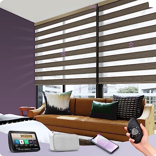 Graywind Motorized Zebra Sheer Blinds Compatible with Alexa Google Light Filtering Remote Horizontal Roller Blinds with Valance for Smart Home Office, Custom Size (Wool-Like Black Gold)