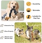 Jouets à laque pour chiens 5 Pack Jouets pour chiens Jouets de chien sans farce Jouet pour chiens en peluche Jouets à croquer Jouet de chien pour chiens de taille moyenne